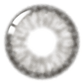 Lenstown ItsWater Silver (1-Month / 2 Pack)